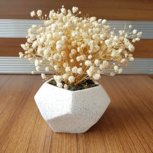 Taş (stone) Efektli Beton Saksıda Cipso Masa Çiçeği Krem