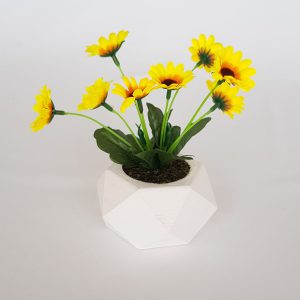 Beton Saksıda Papatya Masa çiçeği Sarı