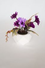 Beton Saksıda Papatya Masa çiçeği Mor-Lila