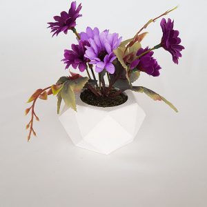 Beton Saksıda Papatya Masa çiçeği Mor-Lila