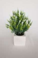 Taş Efektli Beton Saksıda Beyaz Lavanta Masa Çiçeği