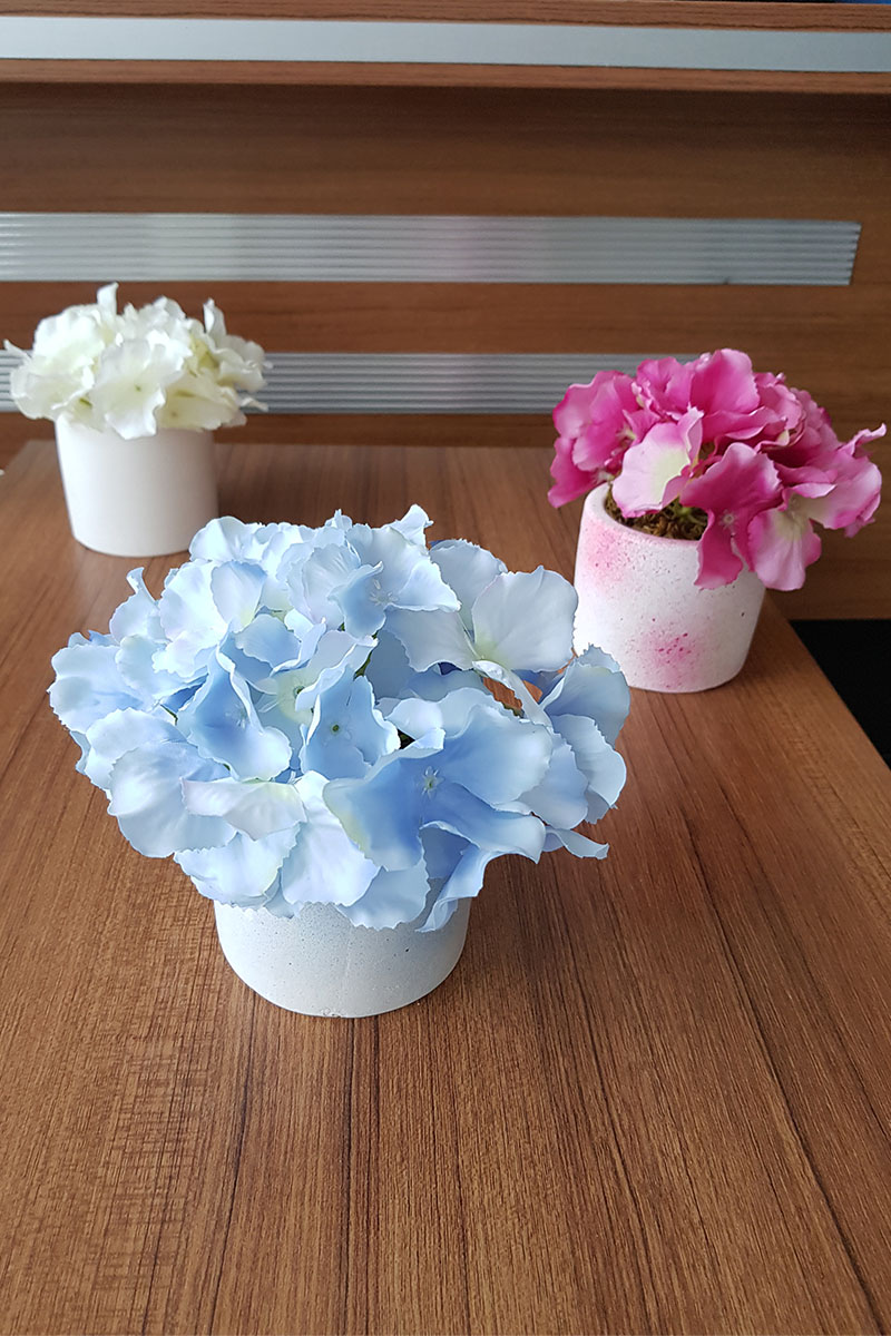 Beton Saksıda Yapay Ortanca Masa Çiçeği 3'lü Set-3 Mavi - Ekru - Fuşya