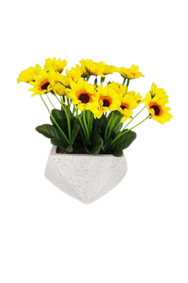 B-15 Taş (Stone) Efektli Prizma Beton Saksıda Papatya Masa Çiçeği Sarı
