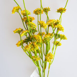 Yapay Garnitür Brokoli Bitkisi 42 cm Sarı
