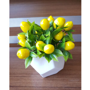 Taş Beton Saksıda Limon Masa Çiçeği 18 Meyveli