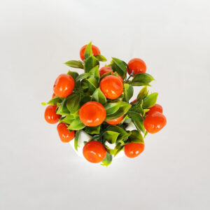 Taş Beton Saksıda Mandalina Masa Çiçeği 18 Meyveli