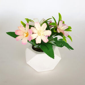 Beton Saksıda Anemon Masa Çiçeği Toz Pembe-Beyaz