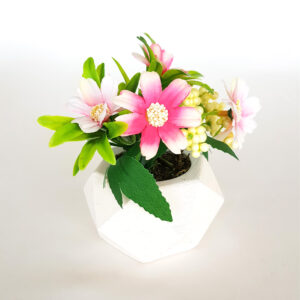 Beton Saksıda Anemon Masa Çiçeği Pembe-Beyaz