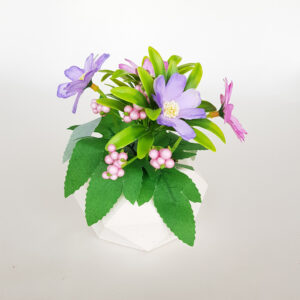 Beton Saksıda Anemon Masa Çiçeği mor-lila