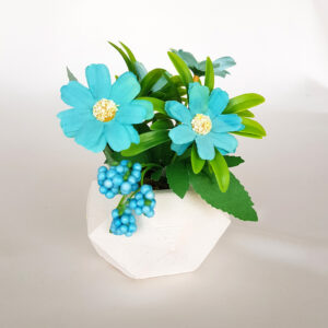 Beton Saksıda Anemon Masa Çiçeği Mavi